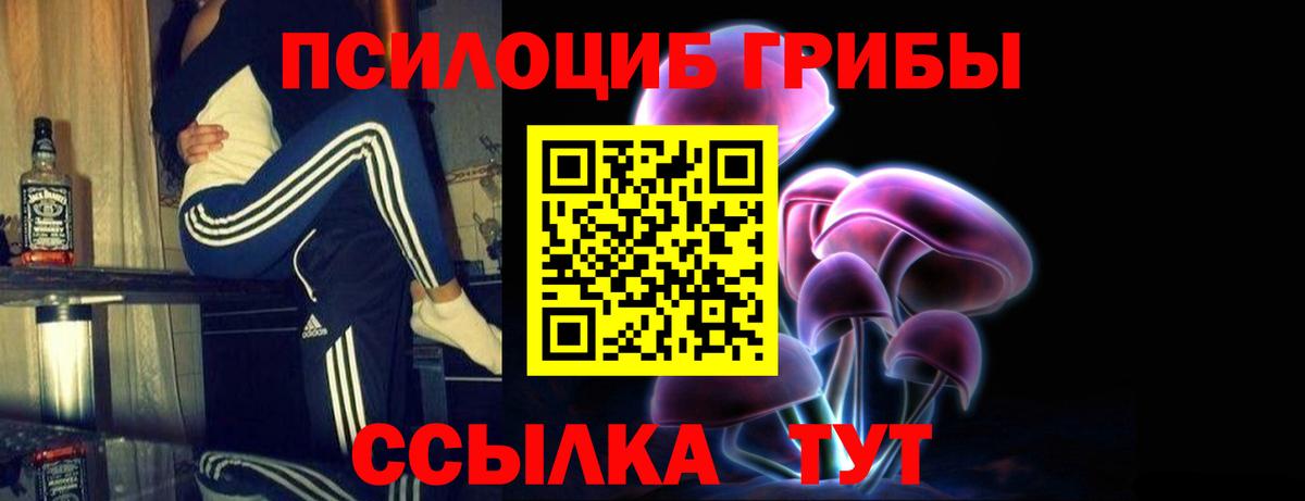 Галлюциногенные грибы Psilocybe  Псилоцибиновые грибы Cubensis  Вход с VPN  Аша 
